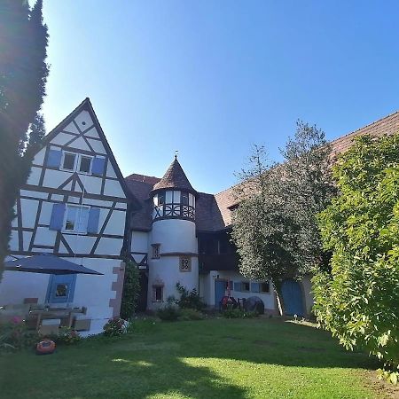 Maison Kobold Xvie Siecle Wissembourg Bagian luar foto