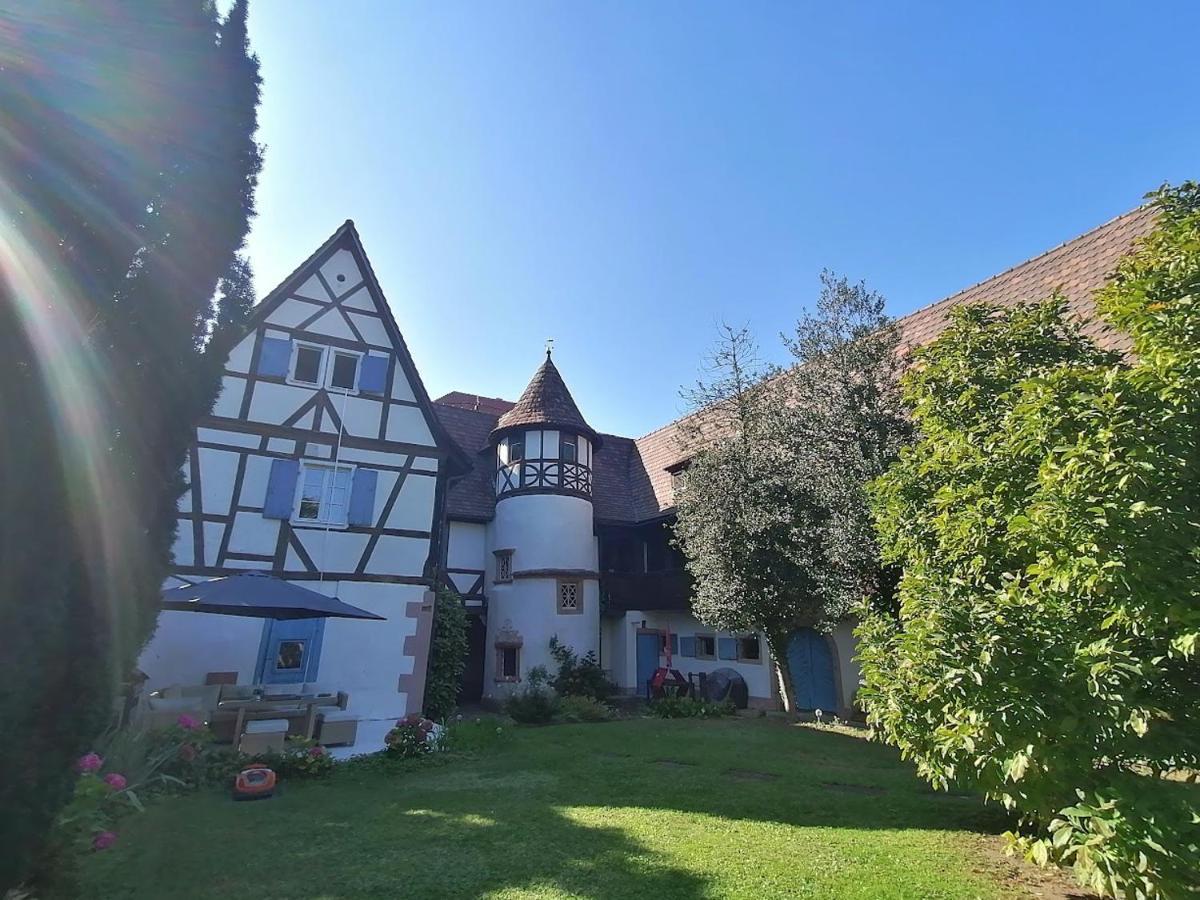 Maison Kobold Xvie Siecle Wissembourg Bagian luar foto