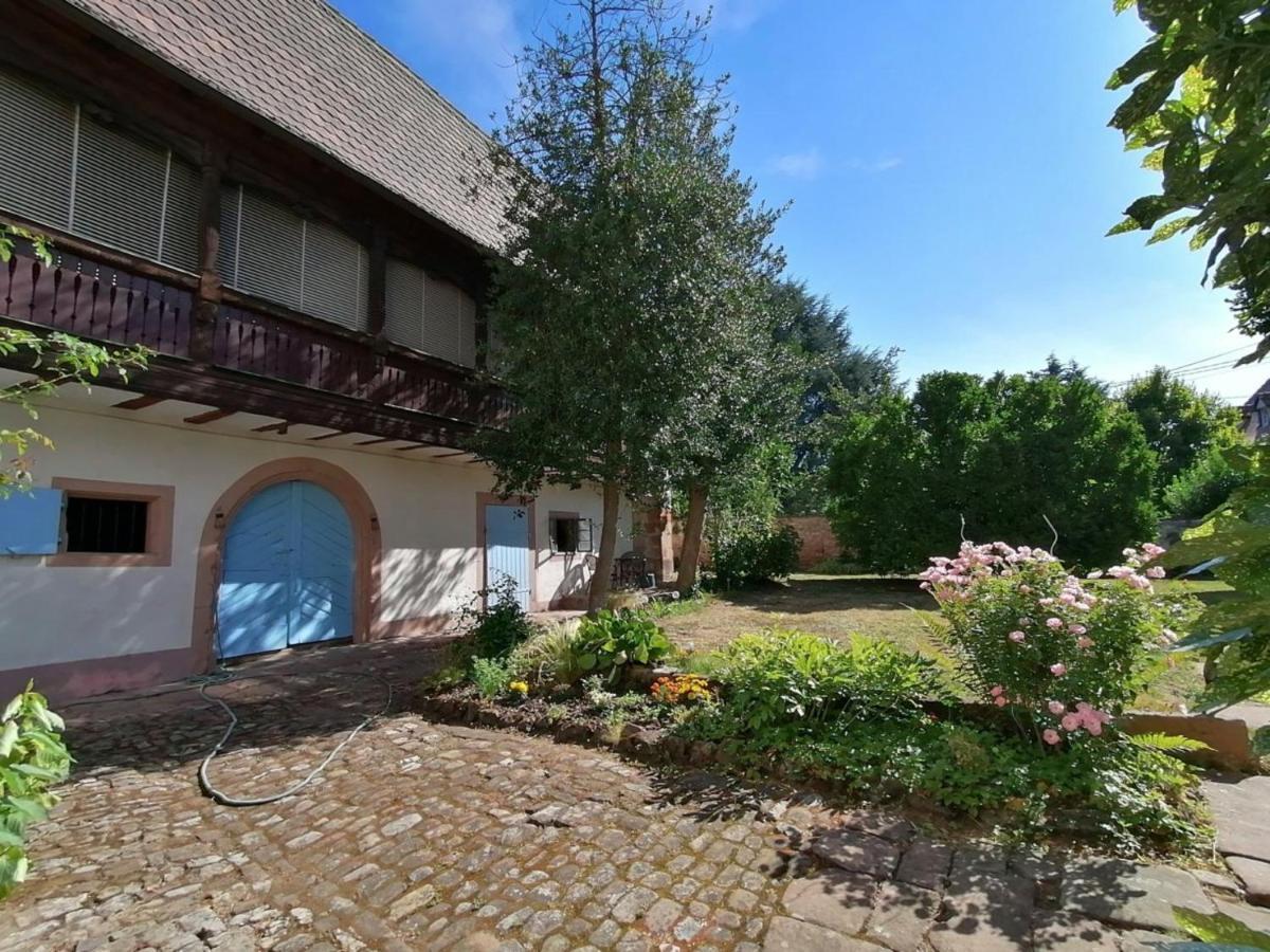 Maison Kobold Xvie Siecle Wissembourg Bagian luar foto