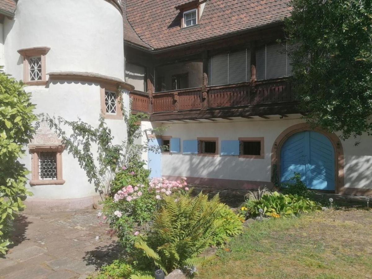 Maison Kobold Xvie Siecle Wissembourg Bagian luar foto