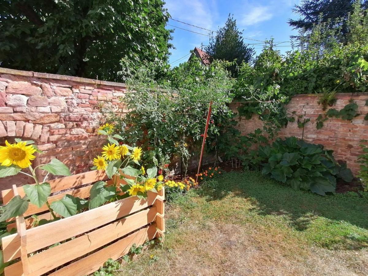 Maison Kobold Xvie Siecle Wissembourg Bagian luar foto