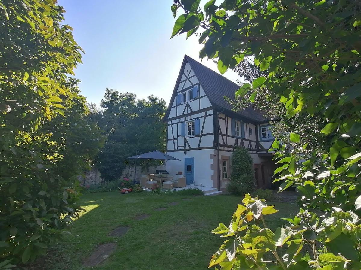 Maison Kobold Xvie Siecle Wissembourg Bagian luar foto