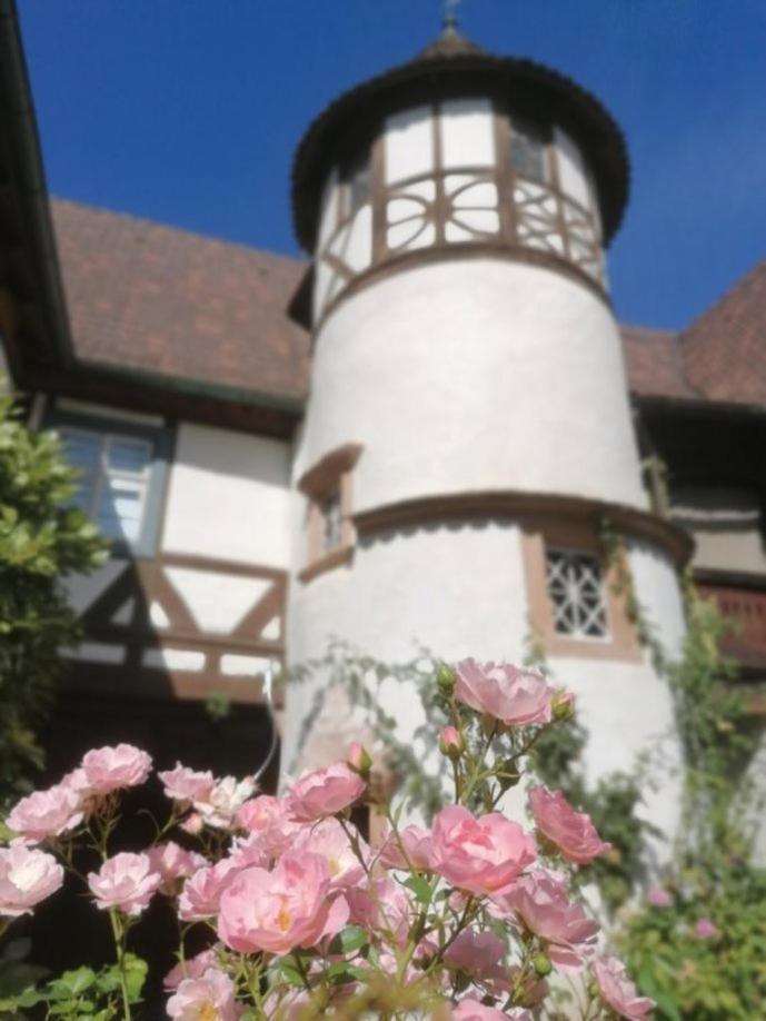 Maison Kobold Xvie Siecle Wissembourg Bagian luar foto