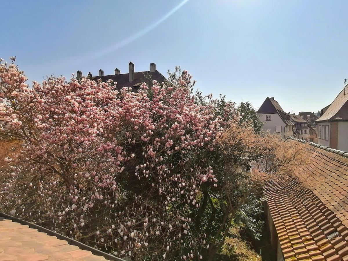 Maison Kobold Xvie Siecle Wissembourg Bagian luar foto
