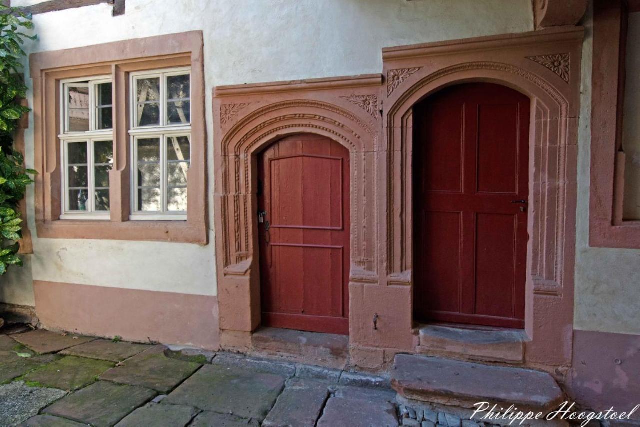 Maison Kobold Xvie Siecle Wissembourg Bagian luar foto