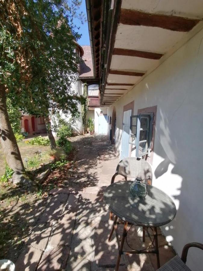 Maison Kobold Xvie Siecle Wissembourg Bagian luar foto