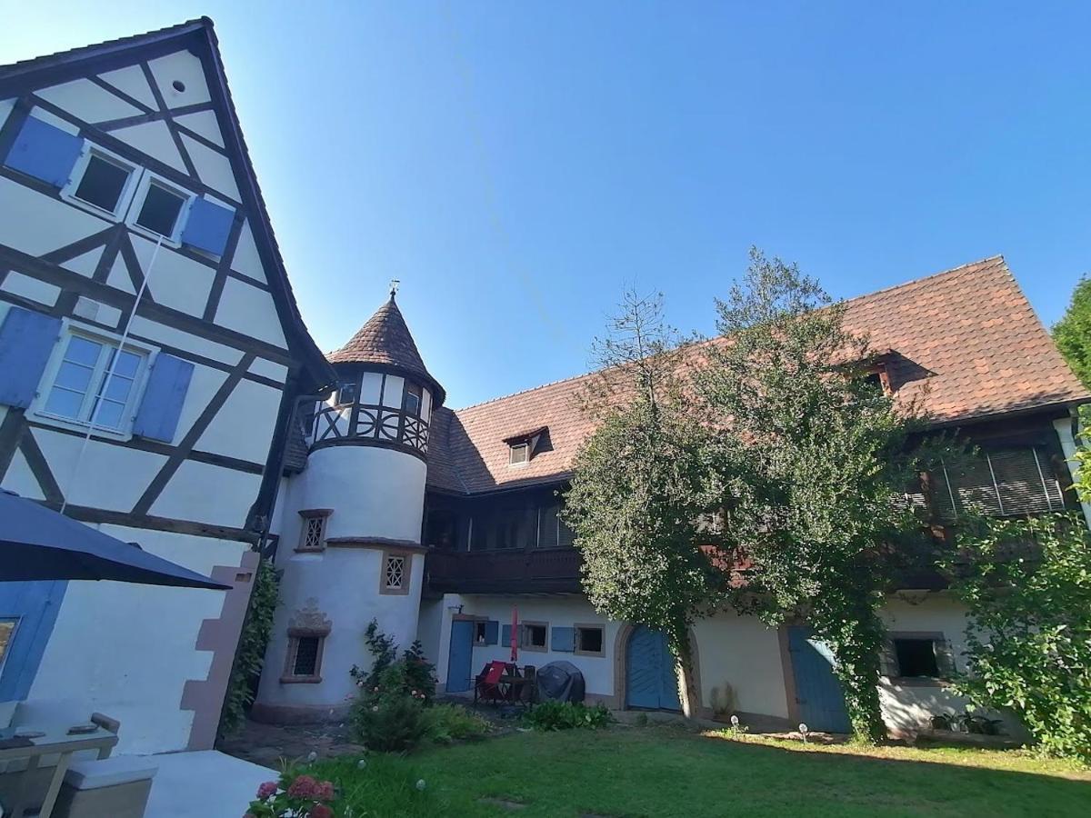 Maison Kobold Xvie Siecle Wissembourg Bagian luar foto