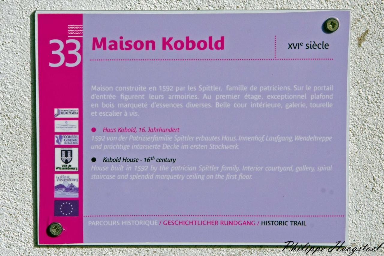 Maison Kobold Xvie Siecle Wissembourg Bagian luar foto