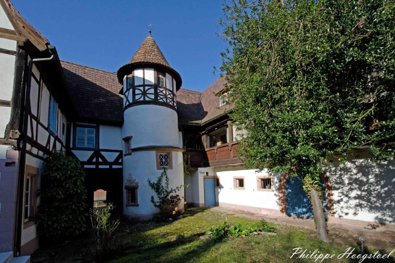 Maison Kobold Xvie Siecle Wissembourg Bagian luar foto