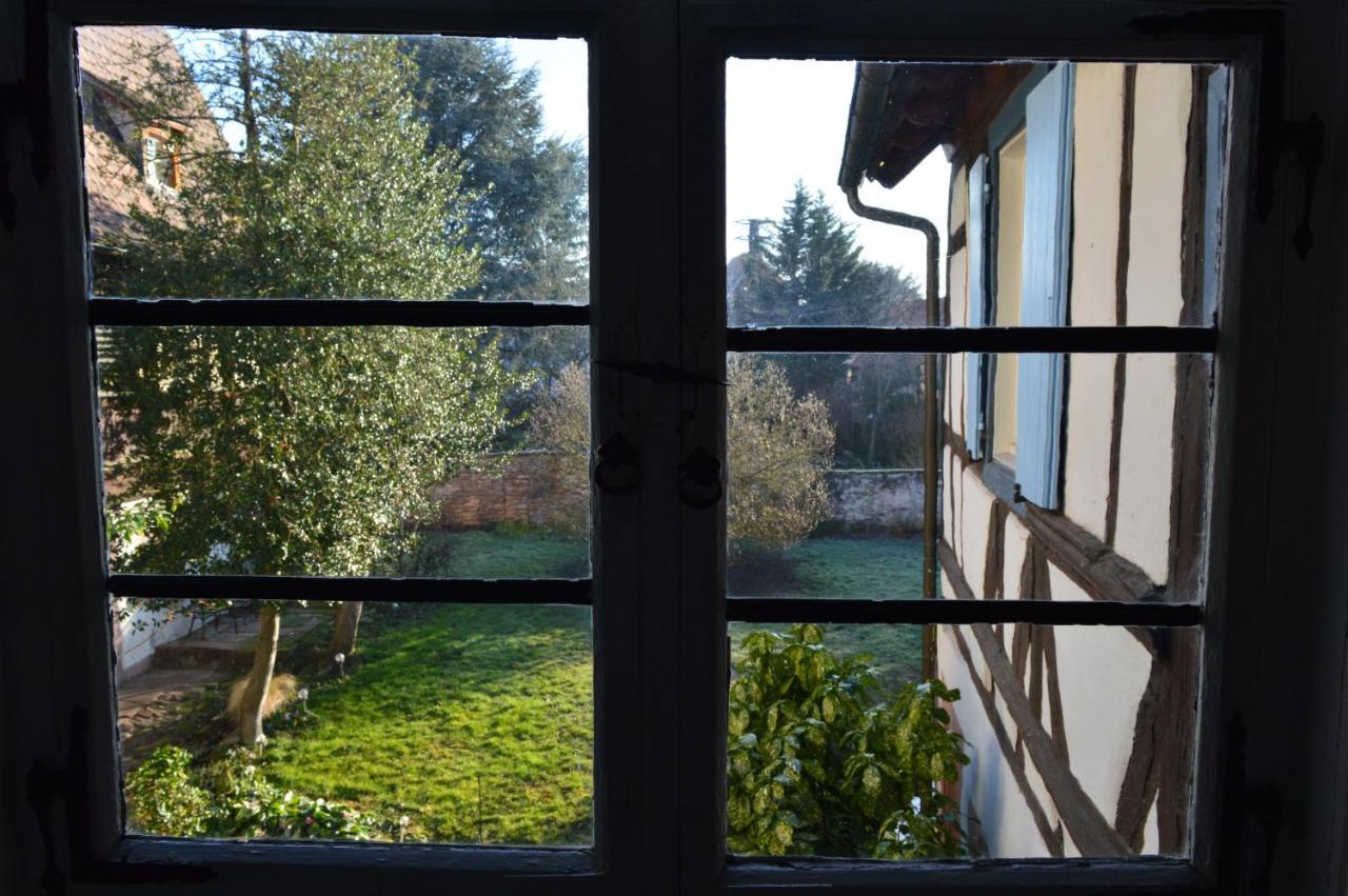Maison Kobold Xvie Siecle Wissembourg Bagian luar foto