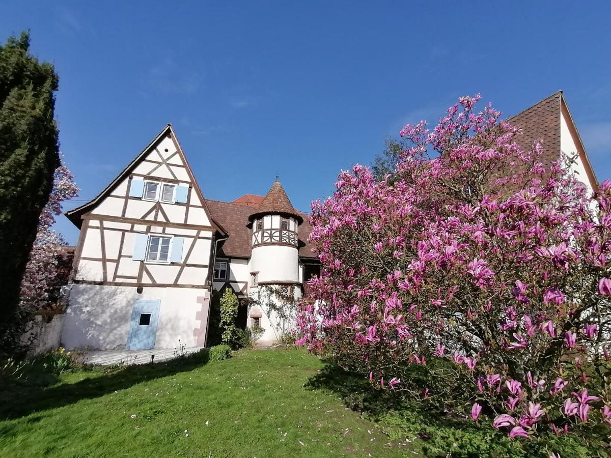 Maison Kobold Xvie Siecle Wissembourg Bagian luar foto